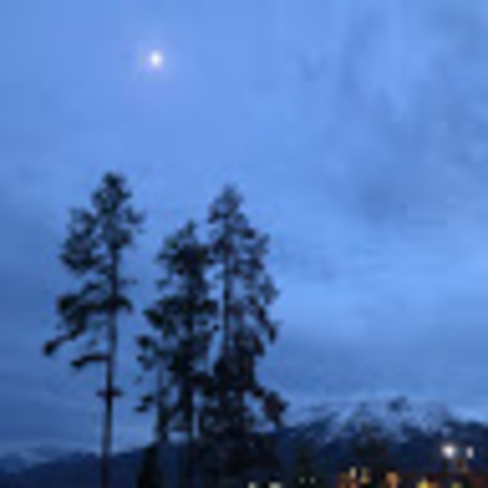 Meet your Posher, Eden